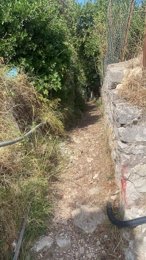 Villa Enrica Capri Esterno foto
